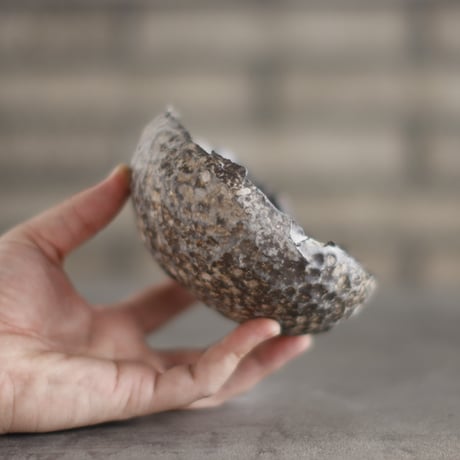 TAKERO POT / Chigiri / Shirosabi (浅鉢) / L (4号) no.928-28