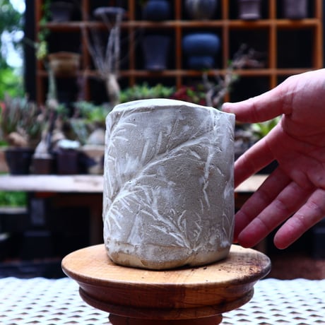 Mie  Maeda 〝seals″   /   humanity pot       no.542