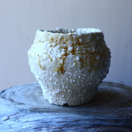 HAKASEPOT   SHIROTSUBU  /  ivory     no.21603