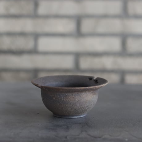 CATEGORY 4号鉢 | 芽の巣山