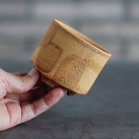 Masato Akutsu / crack ocher / humanity pot (2.5号)  no.824-32