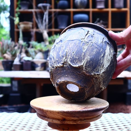 Masato  Akutsu 〝graffito″   /   humanity pot       no558