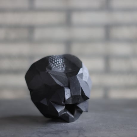Taku Higuchi / PLANETX (4号)  no.511-123