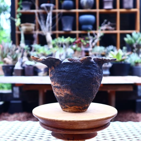 Ricca Okano 〝solaris″   /   humanity pot       no.562