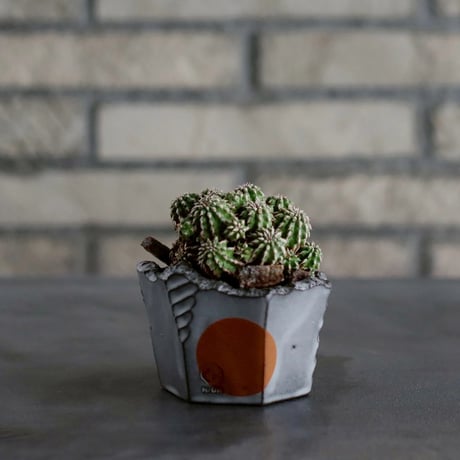 MASSES×M&M Plant Stand 芽の巣山 MASSES×M&M Plant Stand 芽の巣山 CATEGORY MASSES ×M&M | 芽の巣山