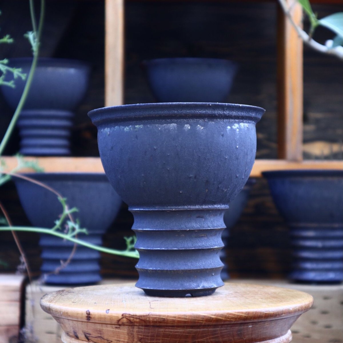 たけろうポット シマワン コクコク L no.80104 | 芽の巣山