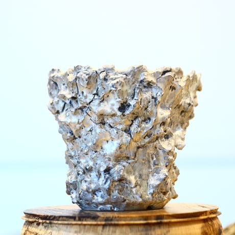 Yuta Uchida / silver rust monst / humanity pot    no.1231-81