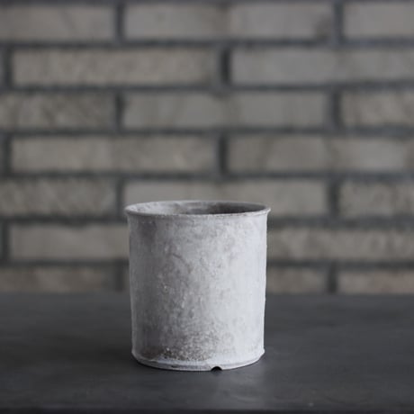 CATEGORY 3.5号鉢 | 芽の巣山