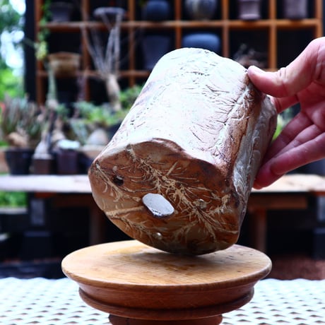 Mie  Maeda 〝seals″   /   humanity pot       no.544