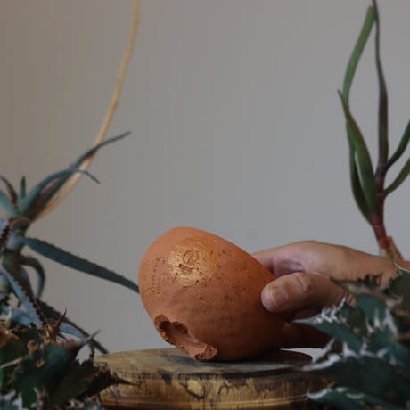 N/OH / コロ鉢 / Persimmon + Moon / XS   no.929-11