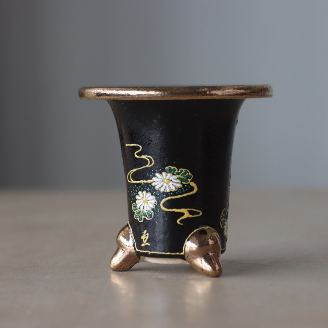 万年青　鉢 万年青鉢 (3.5号) no.406-47 | 芽の巣山