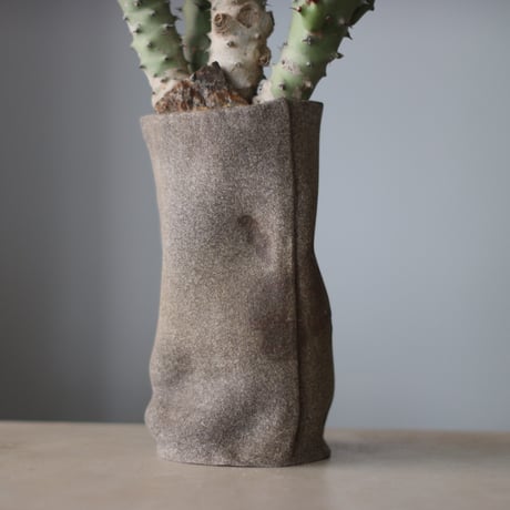 Euphorbia tortilis × Kika Suzuki / PLANETX (5号)  no.511/15
