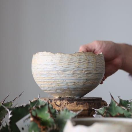 N/OH / MARBLE NOHBLE / コロ鉢 / S   no.421-98