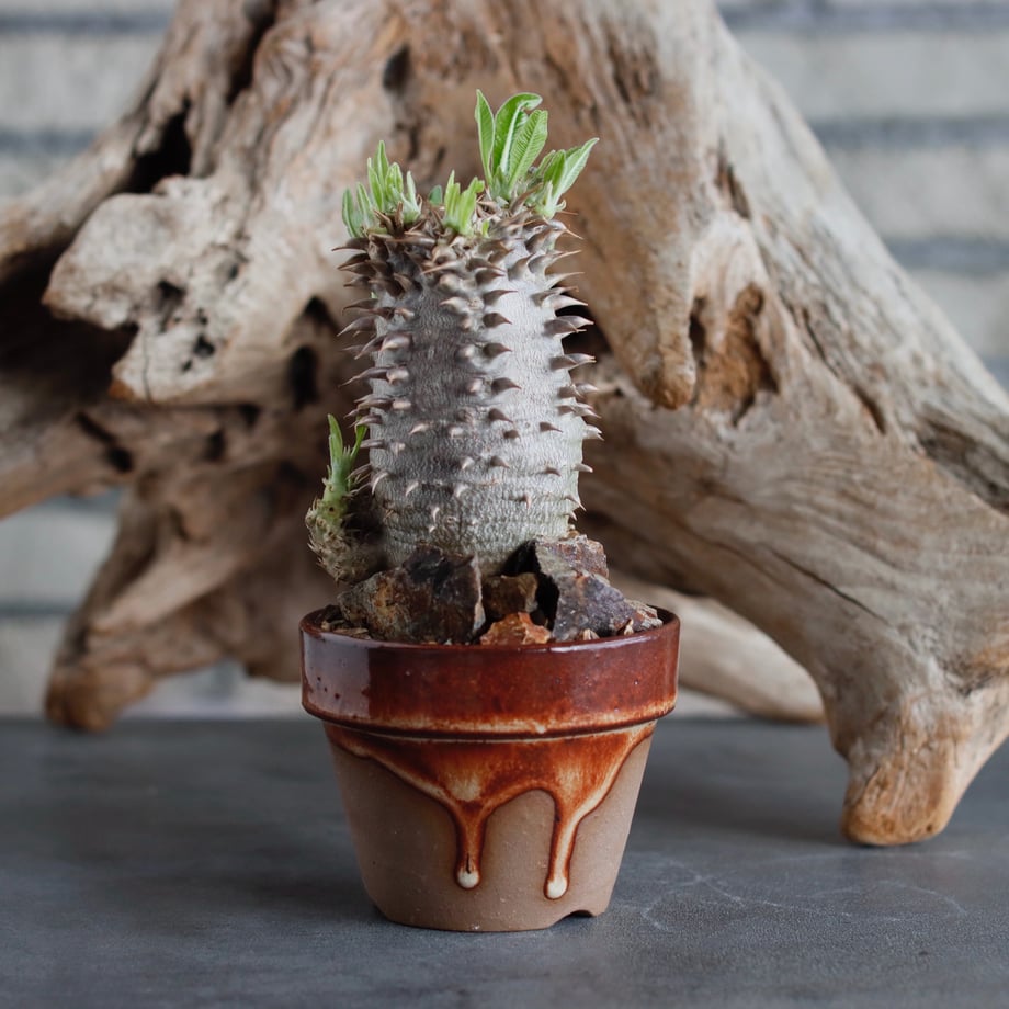 68536b79f09fa072906cd220