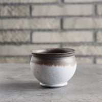 たけろうぽっと　チギリ　コガネ L CATEGORY 2025/2/16 20:00~ | 芽の巣山