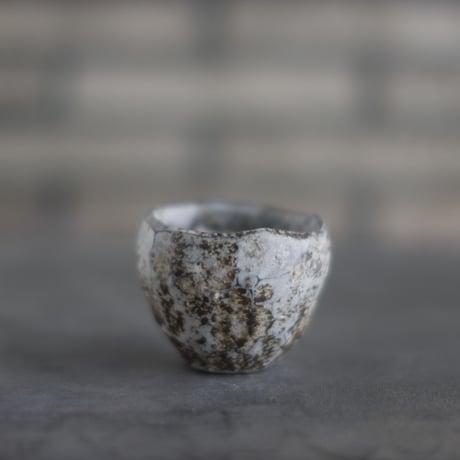 TAKERO POT / Shirosabi  (2.5号)   no.803-105