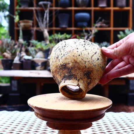 Kaori  Ono 〝 gaia″   /   humanity pot       no.527