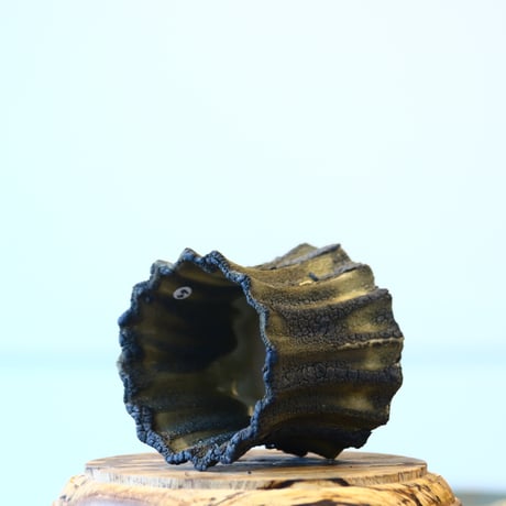 soso/礎礎 / Shape / Olive Reef / M-long     no.331-49