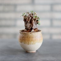 N/OH［澪標-芽の巣山別注］山ノ月ブラック　Mサイズ N/OH【澪標-芽の巣山別注】山ノ月ブラック+ moon / S no.1204/149