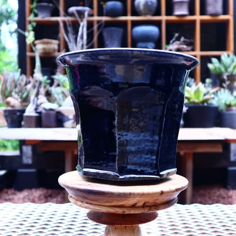 Tadao  Akutsu 〝瑠璃油″ ／ humanity pot       no.580