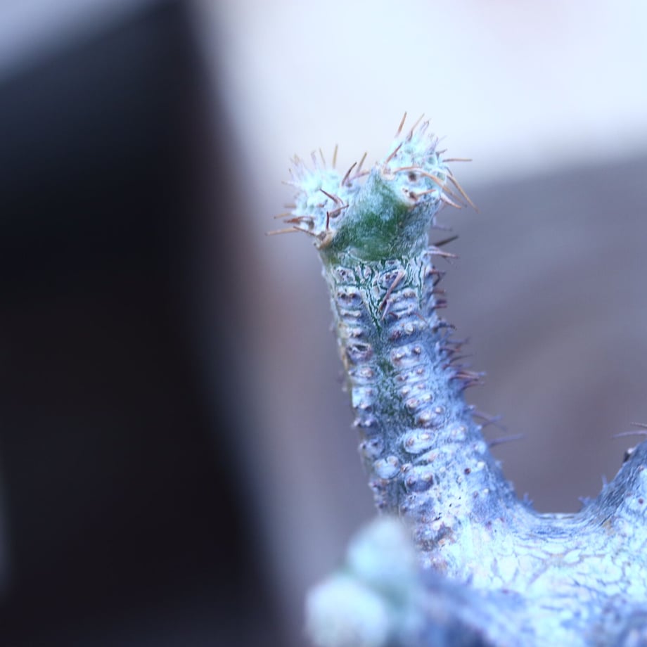 604b114124386026fdc83366