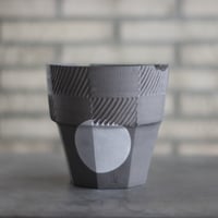 アズテキウム リッテリ 花籠 自根 Aztekium ritteri no.2281