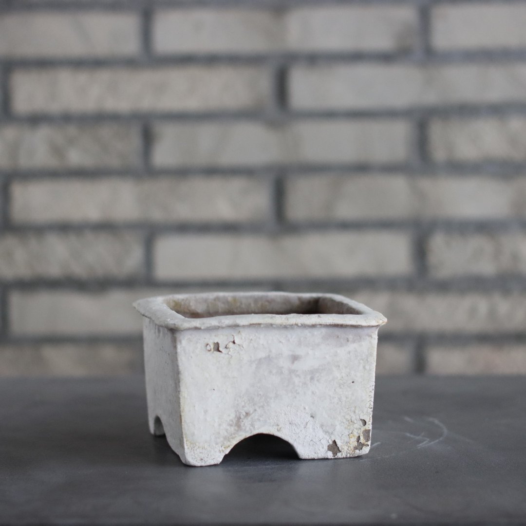 Shin Tabata / PLANETX (4.5号) no.301-32 | 芽の巣山