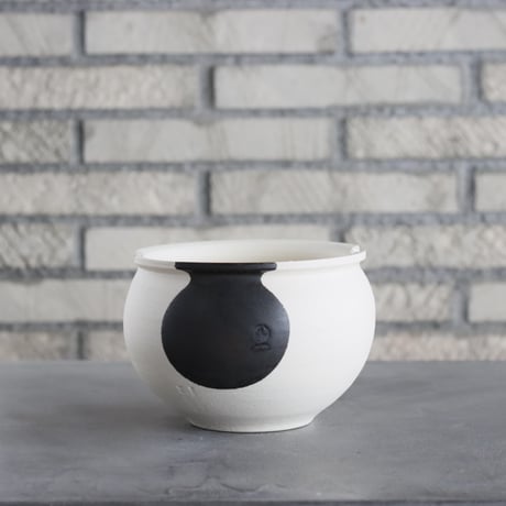 CATEGORY 5号鉢 | 芽の巣山