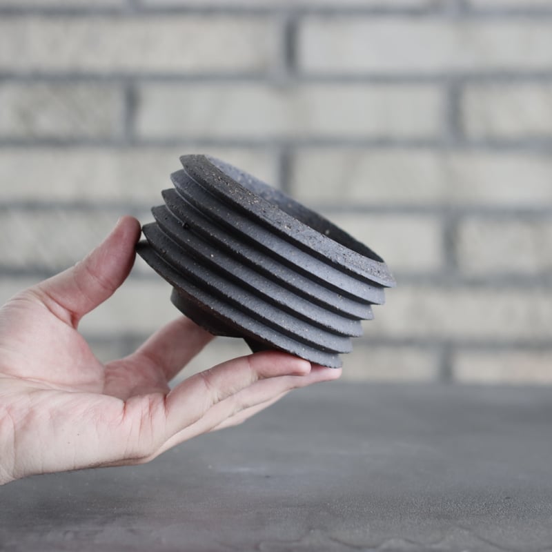 PEMONE / M6 / PLANETX (3.5号) no.1221-27 | 芽の巣山