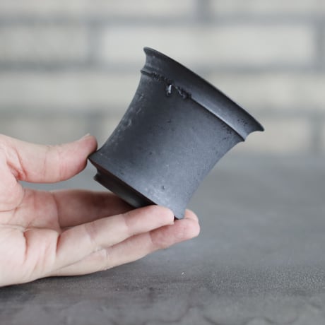 TAKERO POT / モミ / (2.5号) no.1116-73