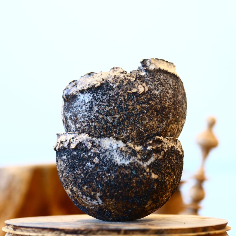 たけろうポット / ちぎり/ 白サビ / ツブ / S no.211-23 | 芽の巣山