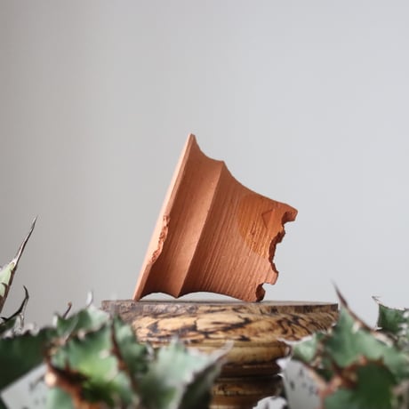 N/OH / M12 / persimmon + Moon / XS   no.421-120