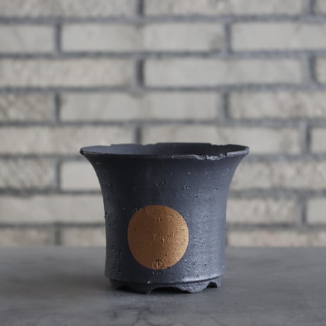 CATEGORY N/OH | 芽の巣山