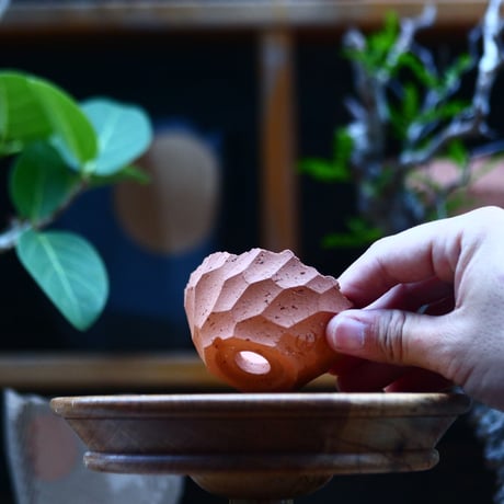 N/OH   コロ鉢  2号鉢  /  persimmon   no.71119