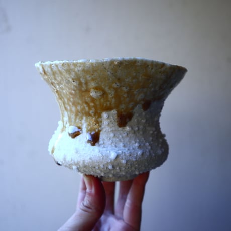 HAKASEPOT   SHIROTSUBU  /  ivory     no.21601