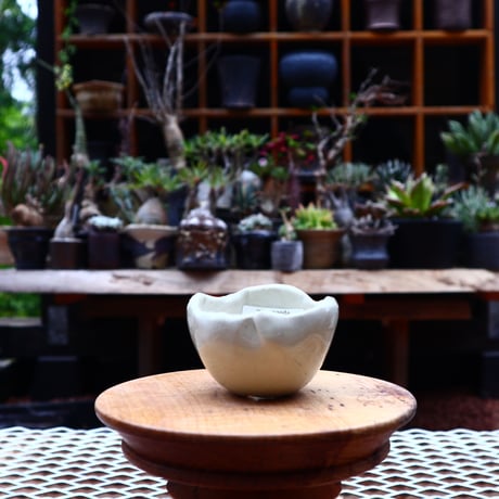 Mie  Maeda 〝blanco″   /   humanity pot       no.532