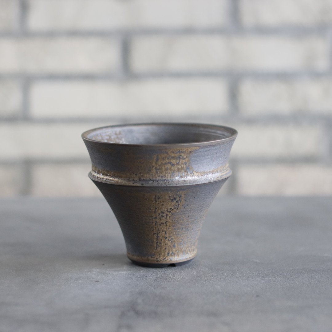 Yuta Uchida / gold rust (3.5号鉢) no.125-9 | 芽の巣山