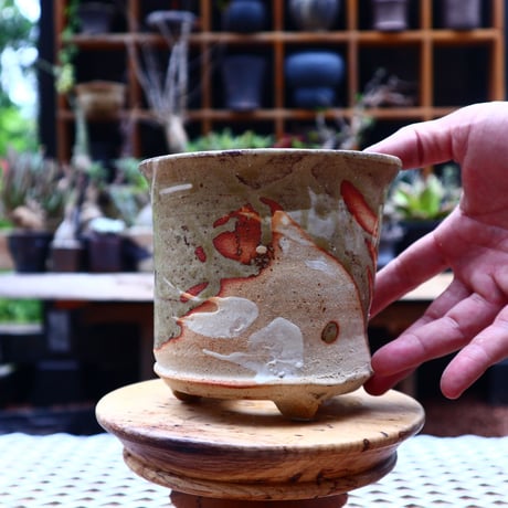 Mie  Maeda 〝seals″   /   humanity pot       no.545