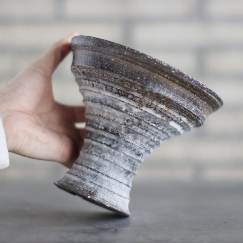 Yuuya Morikawa / PLANETX (5.5号) no.1129/54 | 芽の巣山