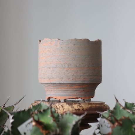N/OH / MARBLE NOHBLE / M12 / S    no.421-12