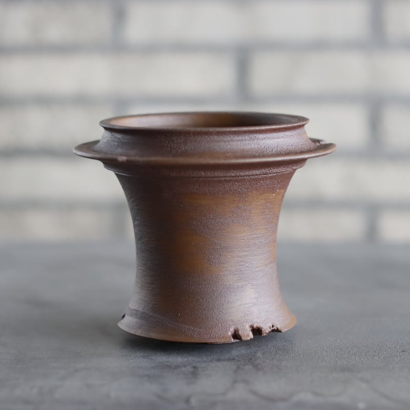 TAKERO POT / サビ / (4.5号) no.1116-13 | 芽の巣山