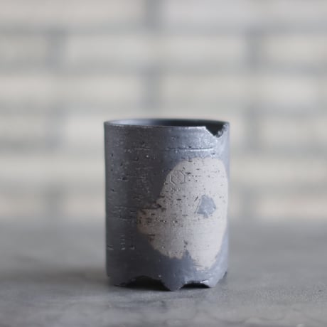 CATEGORY 3号鉢 | 芽の巣山