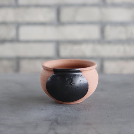 CATEGORY 3.5号鉢 | 芽の巣山