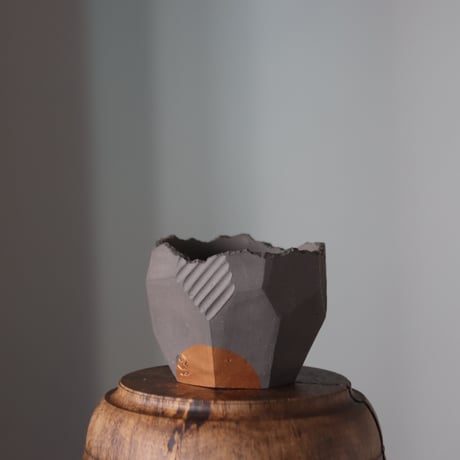 CATEGORY 2024/1/2 11:00~ | 芽の巣山