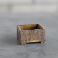 KEI CONDO (盆栽鉢2号) / twinz bonsai  no.1116-94