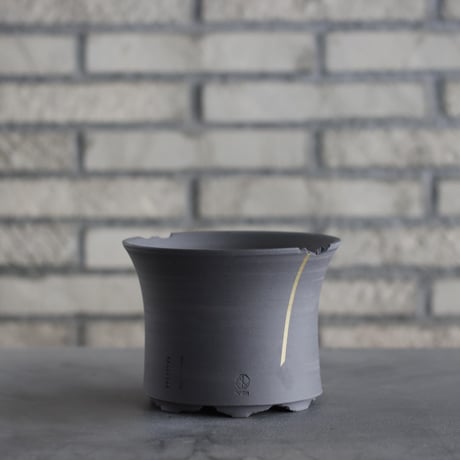 CATEGORY N/OH | 芽の巣山