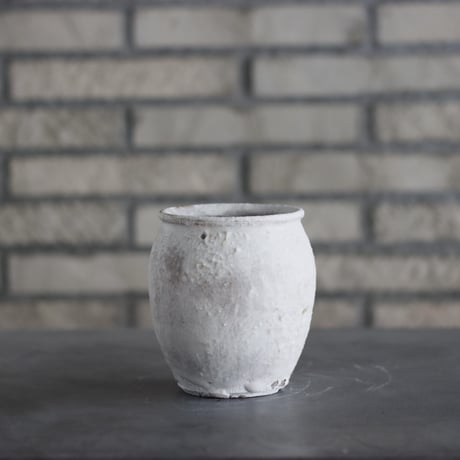 CATEGORY 3.5号鉢 | 芽の巣山