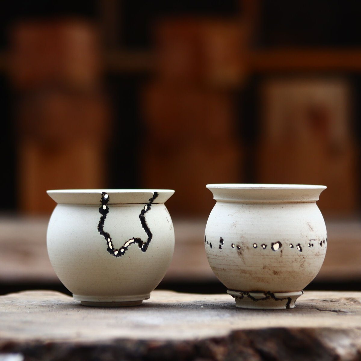 たけろうポット/ハク/ムシクイset (マメツボ) no.402-92 | 芽の巣山