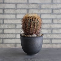 humanity Yuta Uchida BLACK CLAY 鉢　受け皿付き humanity Yuta Uchida BLACK CLAY 鉢 受け皿付き 【公式通販】