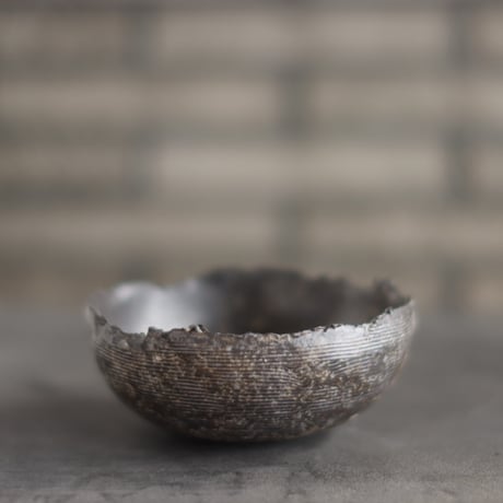 TAKERO POT / Chigiri / Shirosabi (浅鉢)/ LL (4.5号) no.928-23